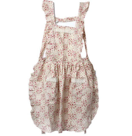 Apron