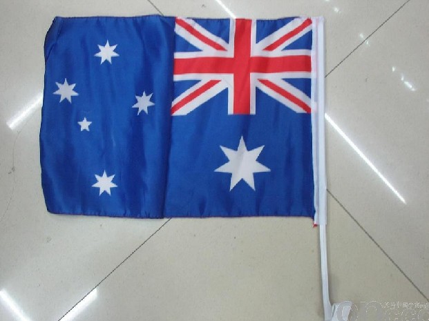 Car Flag