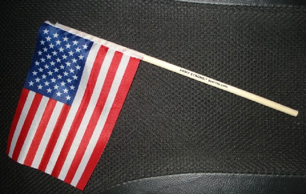 Hand Flag