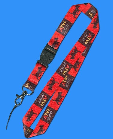 Lanyard