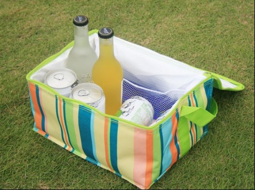 Cooler Bag